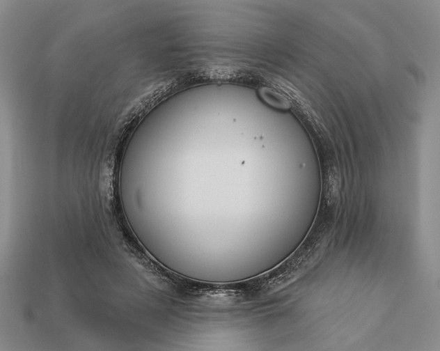 X0000113270497200909241546