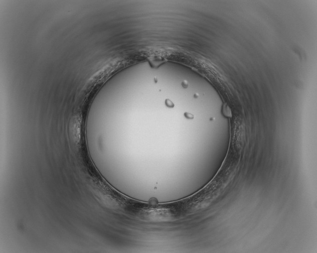 X0000113270501200909241546