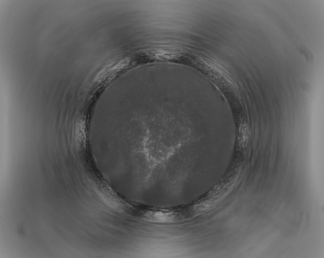 X0000113270506200909241546