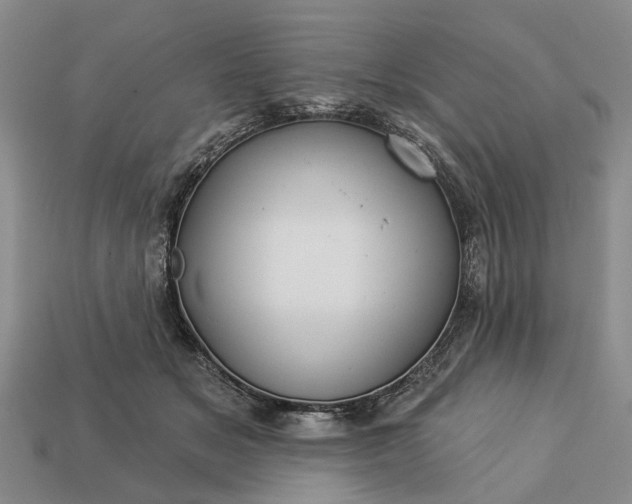 X0000113270509200909241546