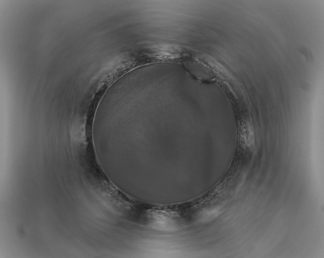 X0000113270512200909241546