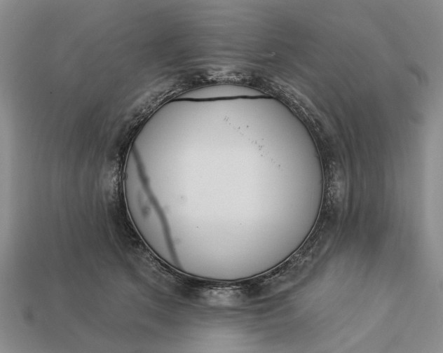 X0000113270513200909241546