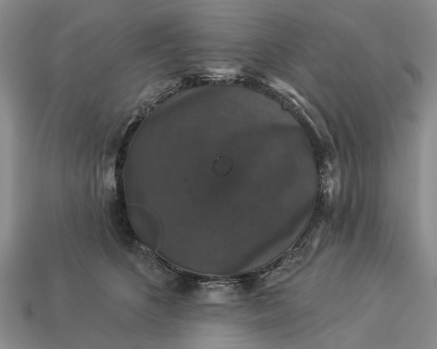 X0000113270516200909241546