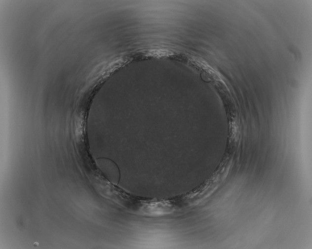 X0000113270517200909241546