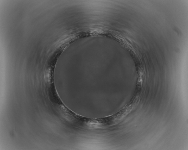 X0000113270519200909241545