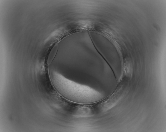 X0000113270520200909241545