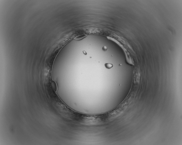 X0000113270521200909241545