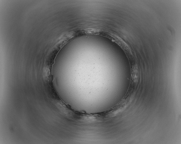 X0000113270523200909241545