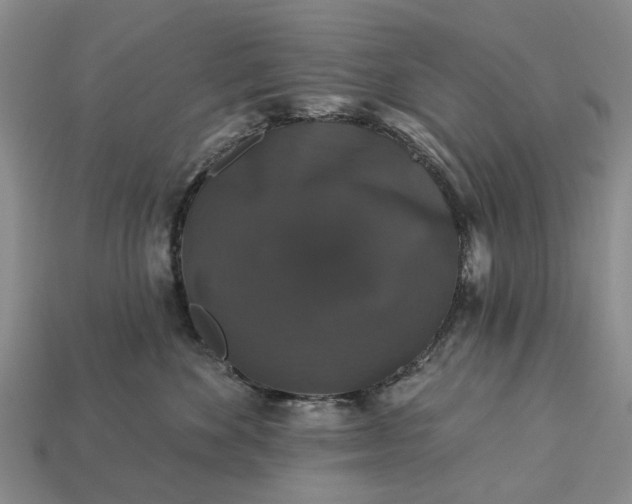 X0000113270524200909241545