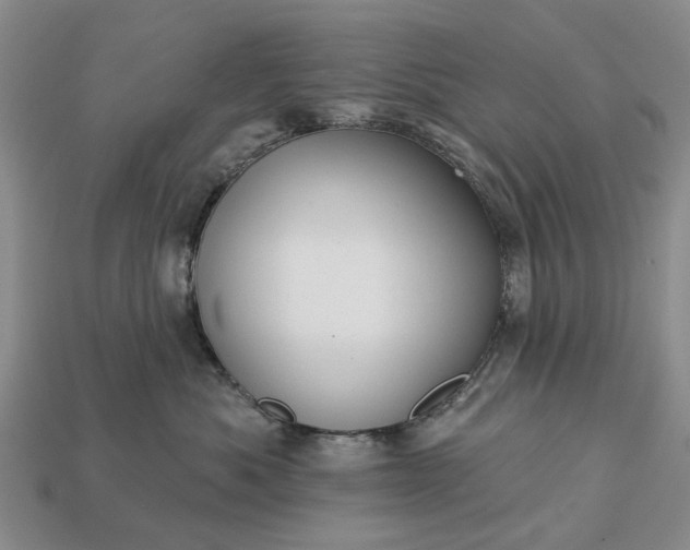 X0000113270525200909241545