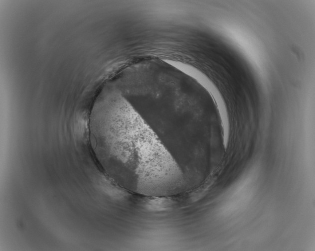 X0000113270527200909241545