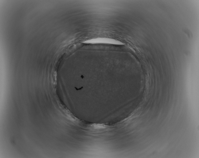 X0000113270528200909241545