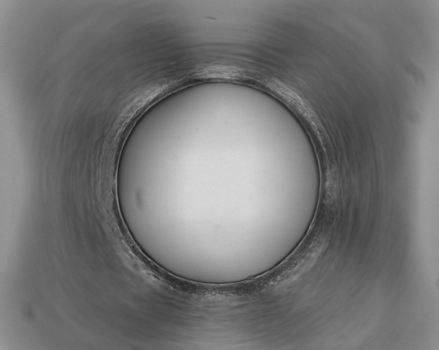 X0000113270529200909241545
