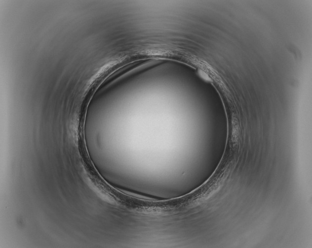 X0000113270530200909241545