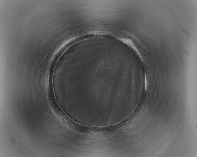 X0000113270531200909241545