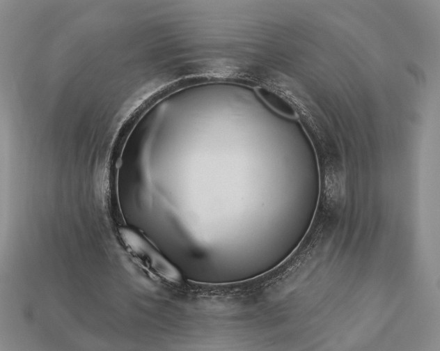 X0000113270532200909241545