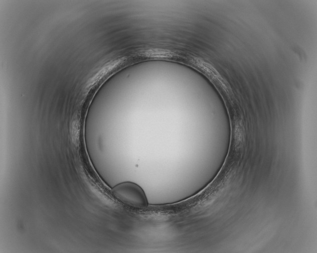 X0000113270533200909241545