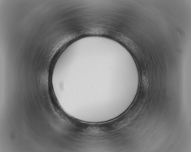 X0000113270534200909241545