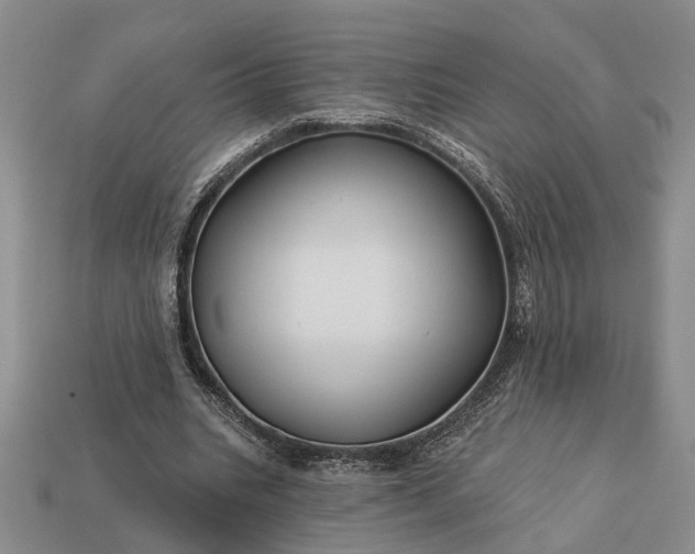 X0000113270535200909241545