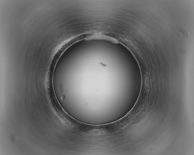 X0000113270536200909241545