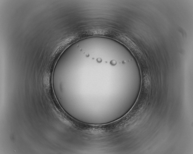 X0000113270537200909241545