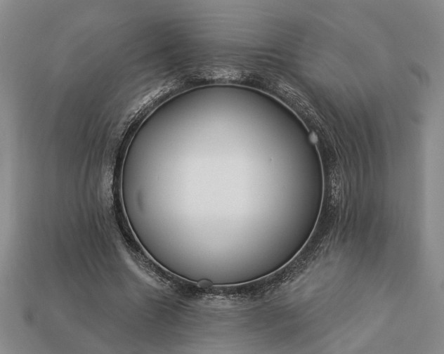 X0000113270538200909241545