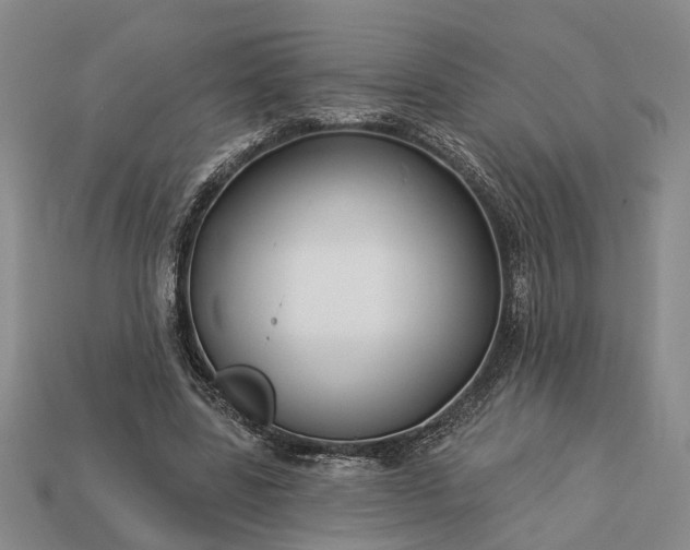 X0000113270539200909241545
