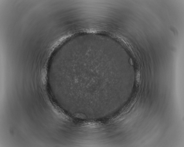 X0000113270540200909241545
