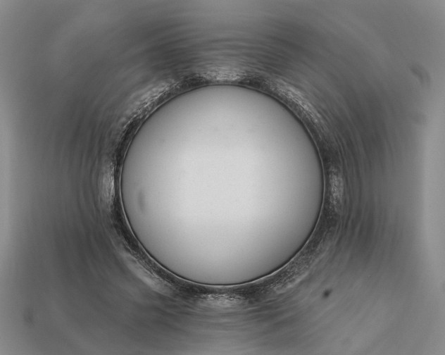 X0000113270541200909241545