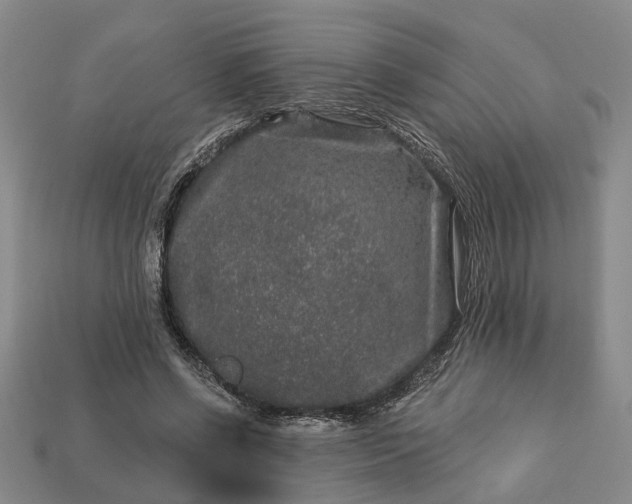 X0000113270542200909241545