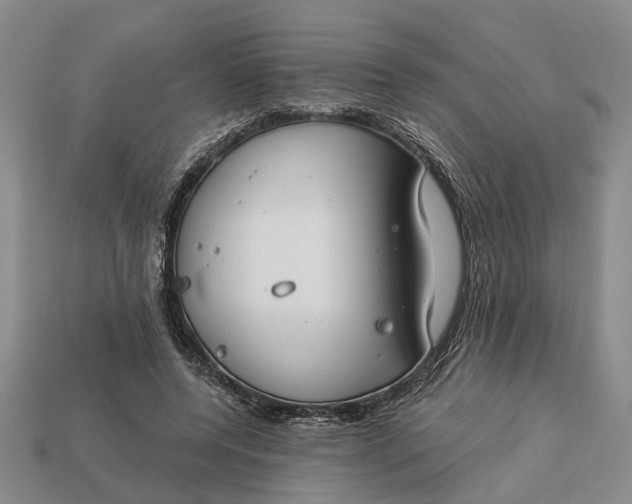 X0000113270544200909241545
