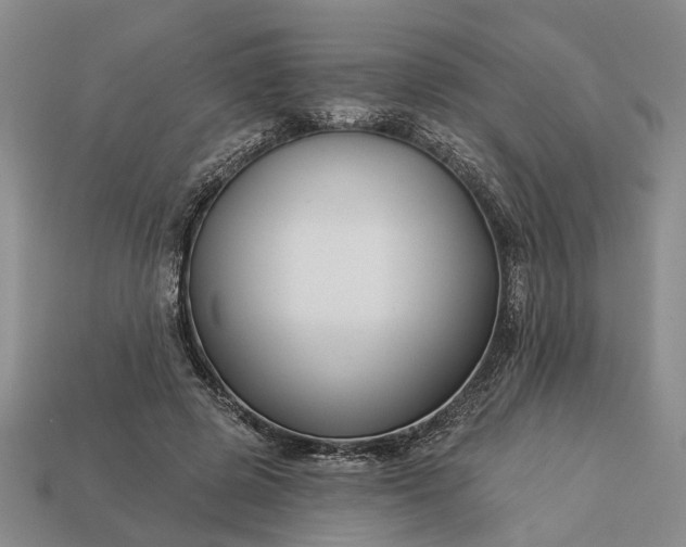 X0000113270545200909241545