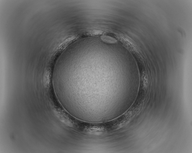 X0000113270546200909241545