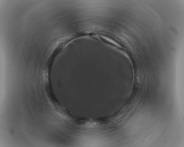 X0000113270547200909241545