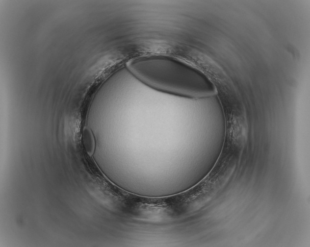 X0000113270548200909241545