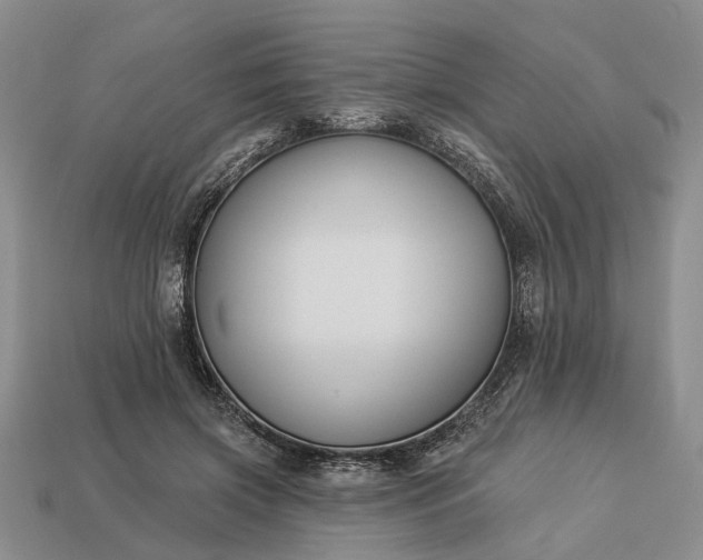 X0000113270549200909241545