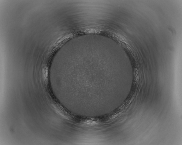 X0000113270550200909241545