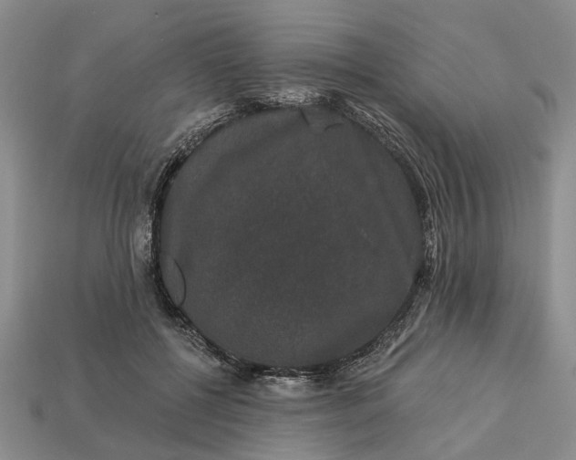 X0000113270552200909241545