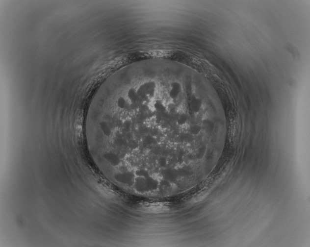 X0000113270553200909241545