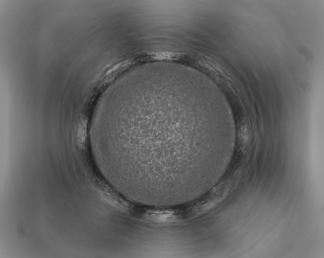 X0000113270554200909241545