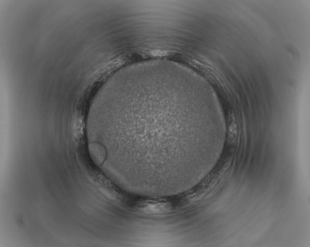 X0000113270555200909241545