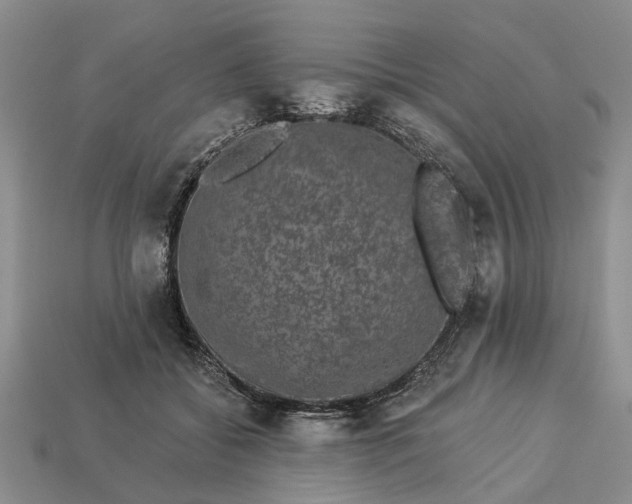 X0000113270556200909241545