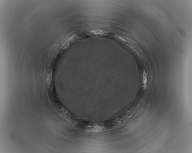X0000113270559200909241545