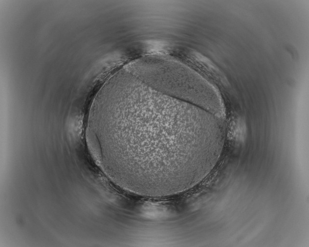 X0000113270560200909241545