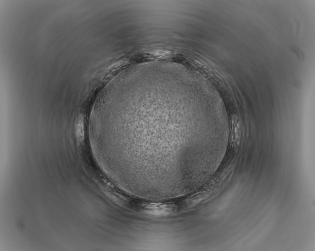 X0000113270562200909241545