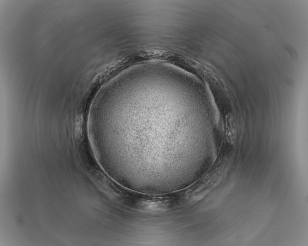 X0000113270563200909241545