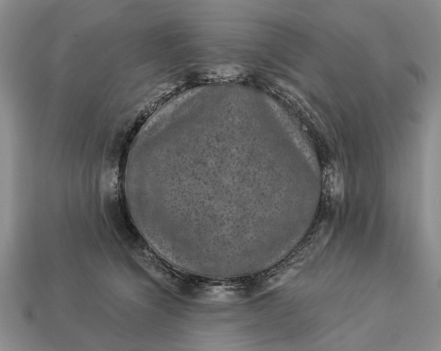 X0000113270564200909241545