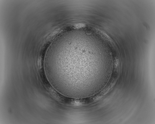 X0000113270565200909241545