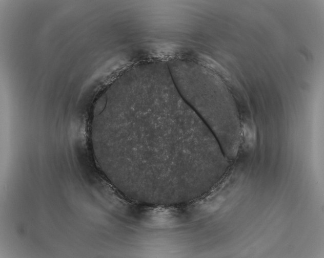 X0000113270566200909241545