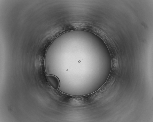 X0000113270567200909241545